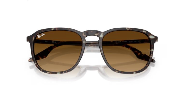 RAY-BAN RB2203 143185