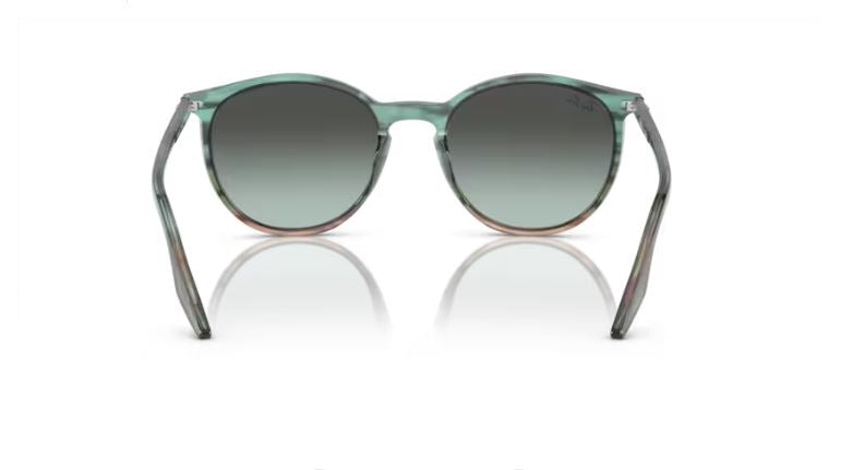 RAY-BAN RB2204 1394GK