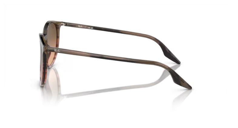 RAY-BAN RB2204 13953B