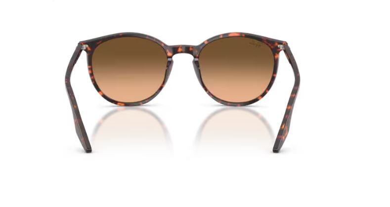 RAY-BAN RB2204 14293B