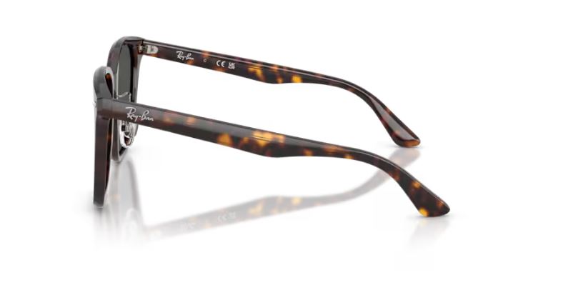 RAY-BAN RB2206D 71087