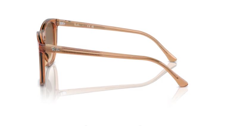RAY-BAN RB2210 676451