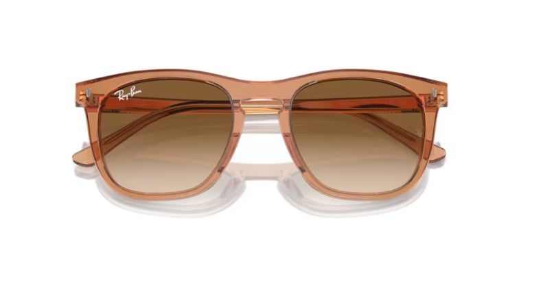 RAY-BAN RB2210 676451