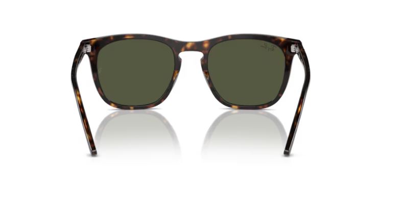 RAY-BAN RB2210 90231