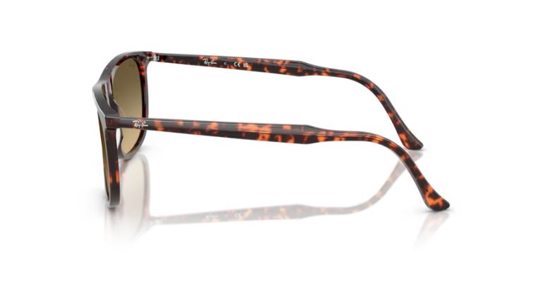 RAY-BAN RB2216 14290A