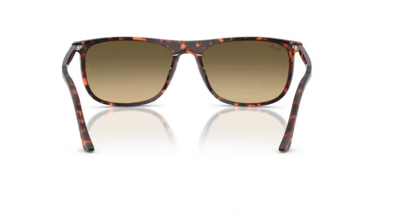 RAY-BAN RB2216 14290A