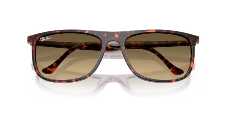 RAY-BAN RB2216 14290A
