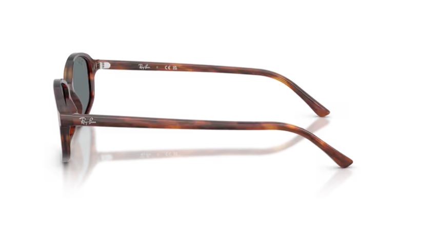 RAY-BAN RB2232 95462