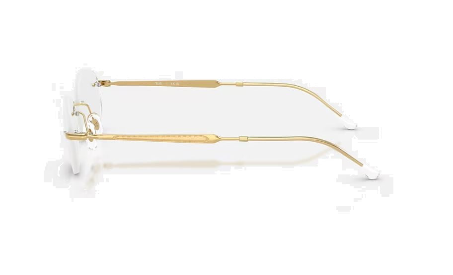 RAY-BAN RB3767V 2500 52