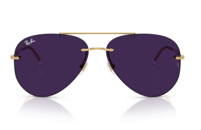 RAY-BAN RB3791 001/MH