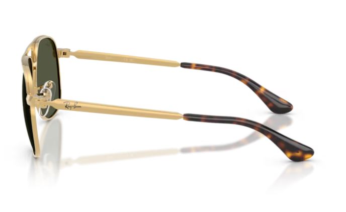 RAY-BAN RB3793 001/31 Bill max