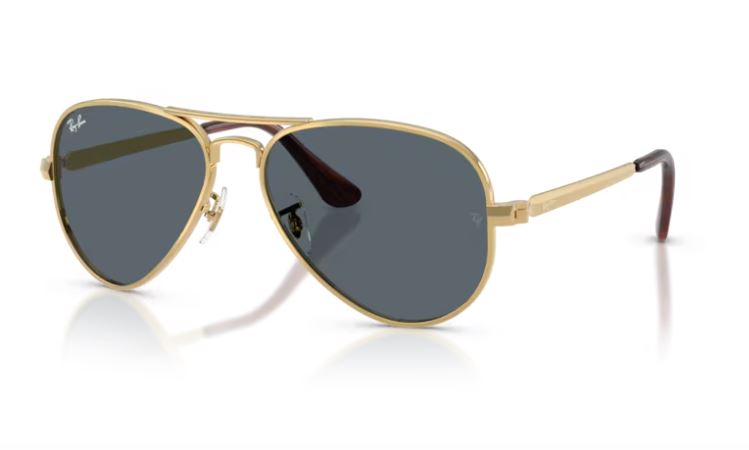 RAY-BAN RB3925 001/R5