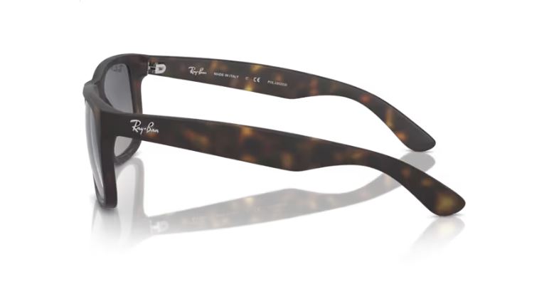 RAY-BAN RB4165 8658S Havana Justin