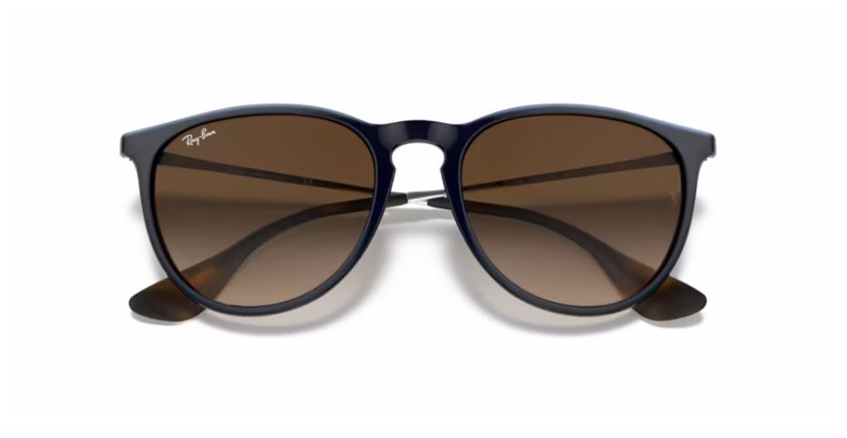 RAY-BAN RB4171 631513- Erika