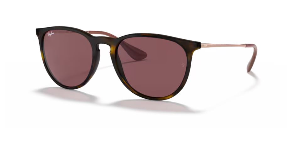 RAY-BAN RB4171 639175 - Erika