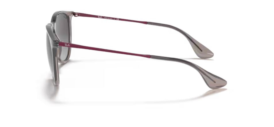 RAY-BAN RB4171 65138G - Erika