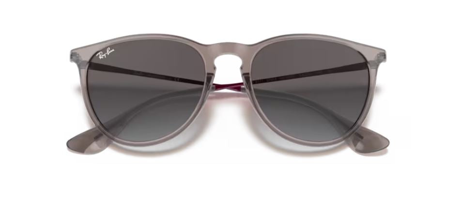 RAY-BAN RB4171 65138G - Erika