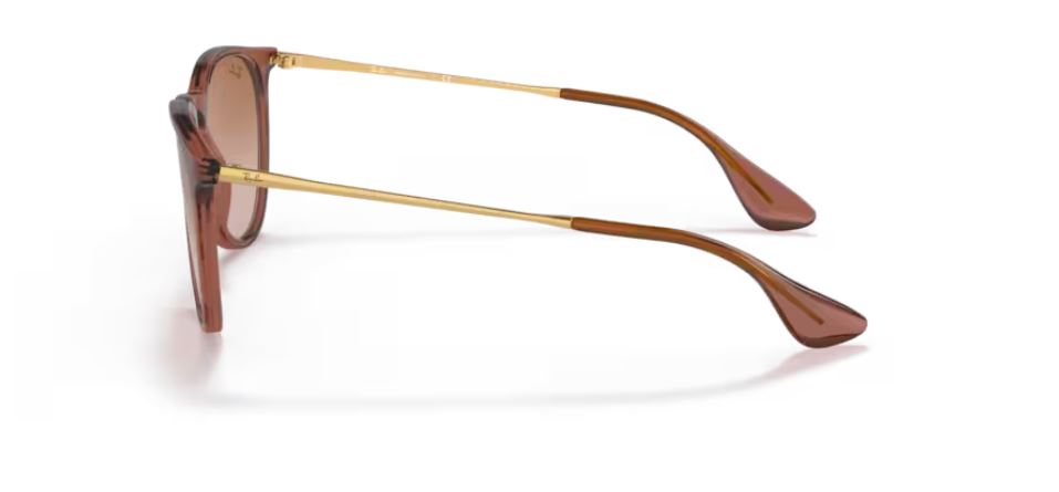 RAY-BAN RB4171 659013- Erika