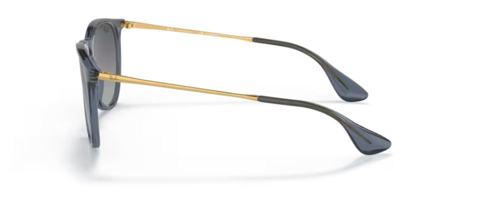 RAY-BAN RB4171 6592T3- Erika