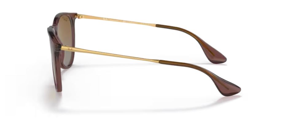 RAY-BAN RB4171 6593T5- Erika