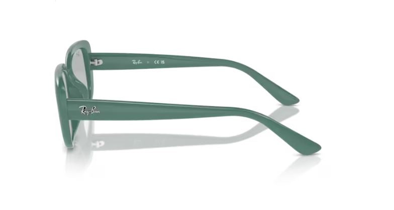 RAY-BAN RB4421D 676287