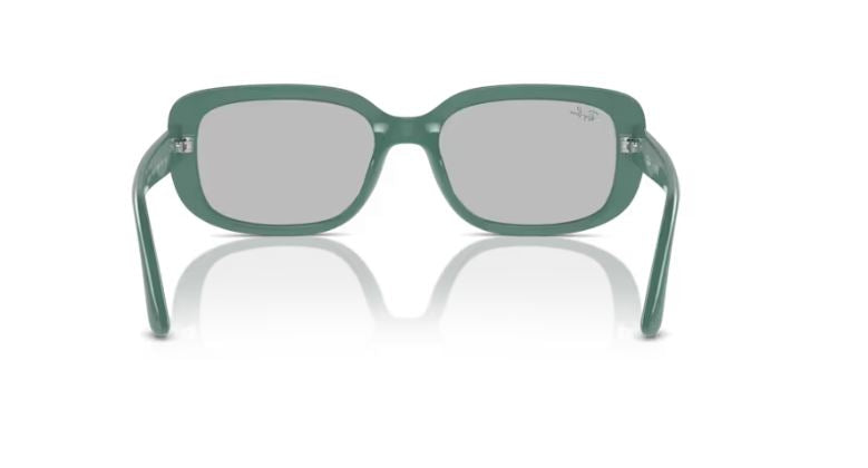 RAY-BAN RB4421D 676287