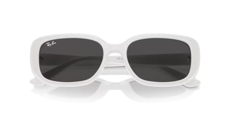 RAY-BAN RB4421D 677287