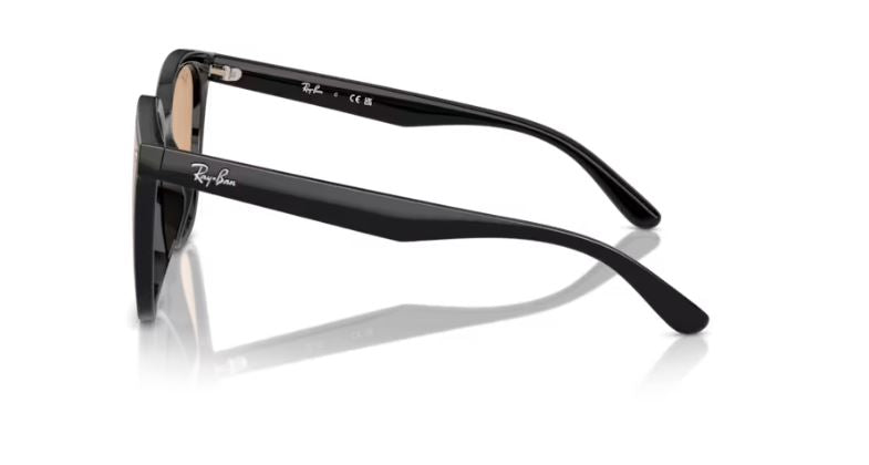 RAY-BAN RB4423D 60193