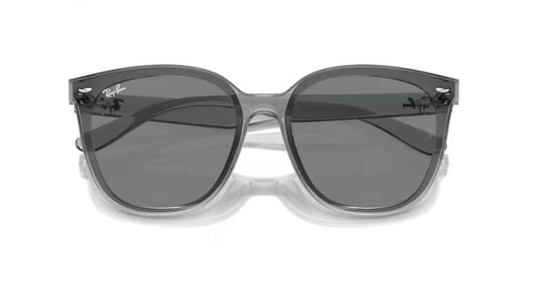 RAY-BAN RB4423D 645087