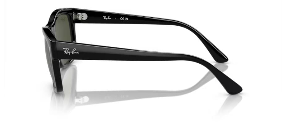 RAY-BAN  RB4428 60131 - Black