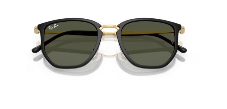 RAY-BAN RB4451 630631