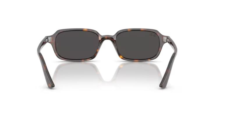 RAY-BAN RB4455 135987