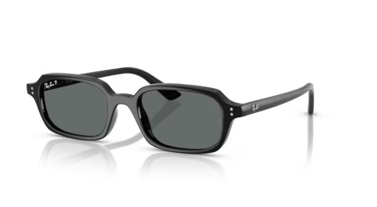 RAY-BAN RB4455 667781