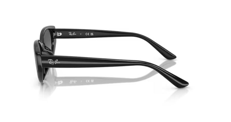 RAY-BAN RB4457D 667711