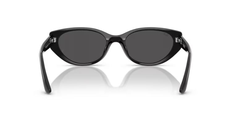 RAY-BAN RB4457D 667787