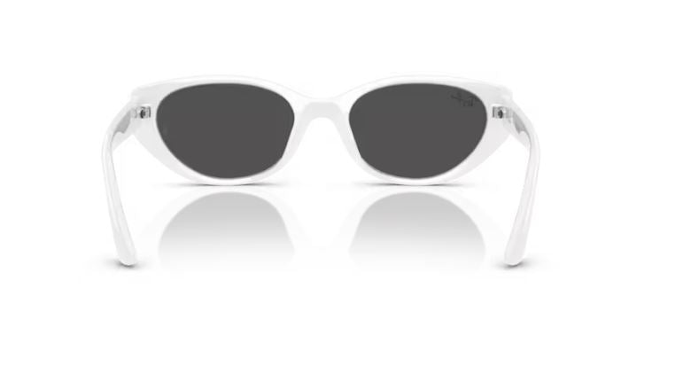 RAY-BAN RB4457D 677287