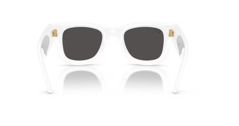RAY-BAN RB4940 67187 Wayfarer puffer