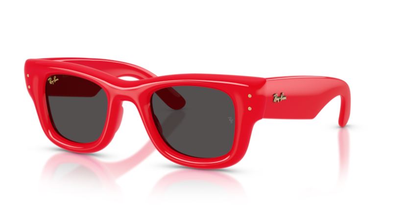 RAY-BAN RB4940 683187 50 Wayfarer puffer