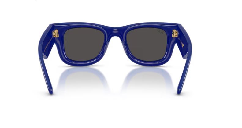 RAY-BAN RB4940 683387 Wayfarer puffer