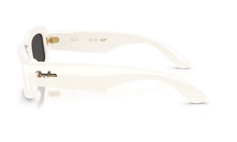 RAY-BAN RB4944 687487