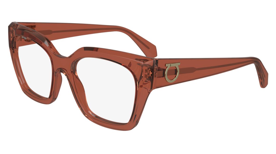 Salvatore ferragamo SF2983 (224)
