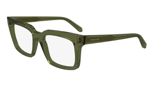 Salvatore ferragamo SF2993 (320)