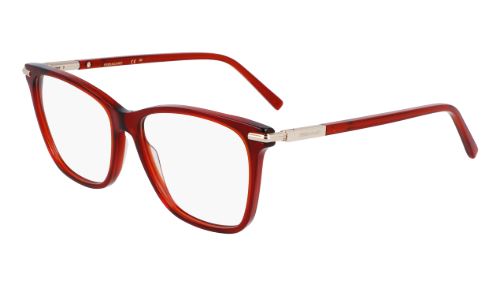 Salvatore ferragamo SF3013 (616)