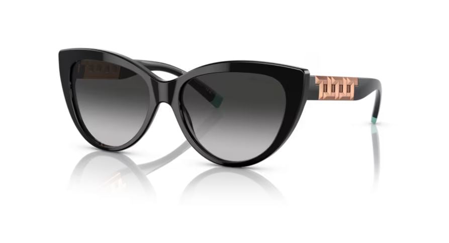 TIFFANY & CO TF4196 80013C-Black