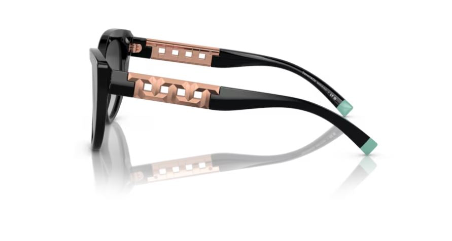 TIFFANY & CO TF4196 80013C-Black