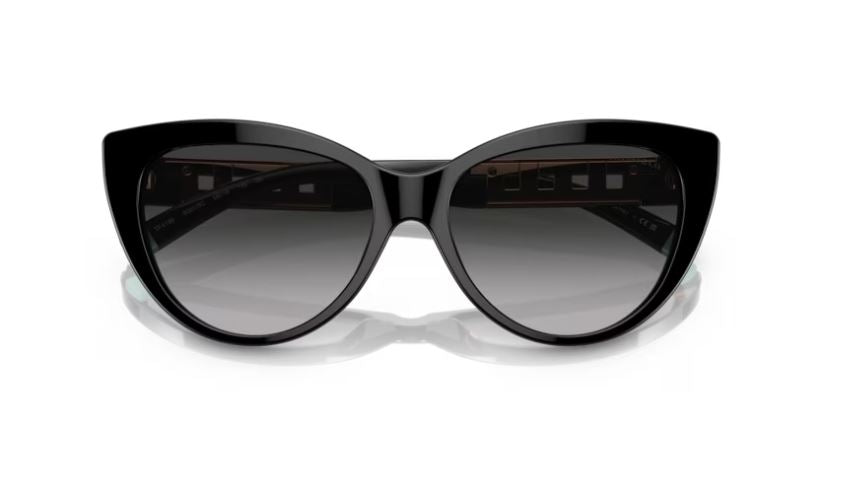 TIFFANY & CO TF4196 80013C-Black