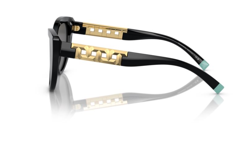 TIFFANY & CO TF4196 8001S4 -Black