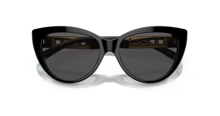 TIFFANY & CO TF4196 8001S4 -Black