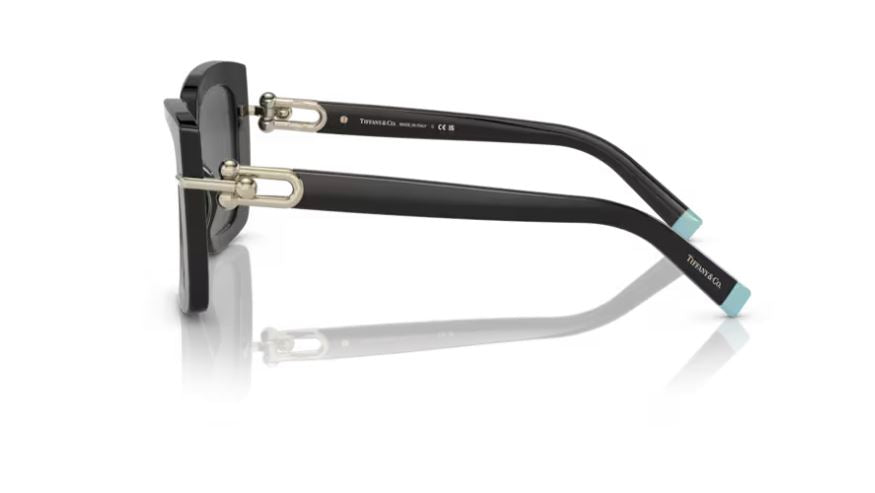 TIFFANY & CO TF4199 8001S4 - Black