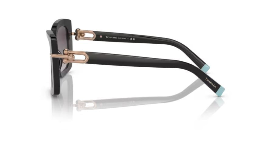 TIFFANY & CO TF4199 80013C - Black